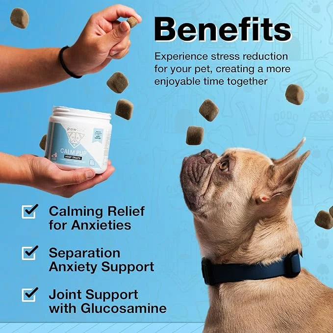 Hemp Dog Calming Chews - Anxiety Relief Treats, 60 Calming Treats for Dogs, Organic Calm Pup Dog Anxiety Relief, Calming C...