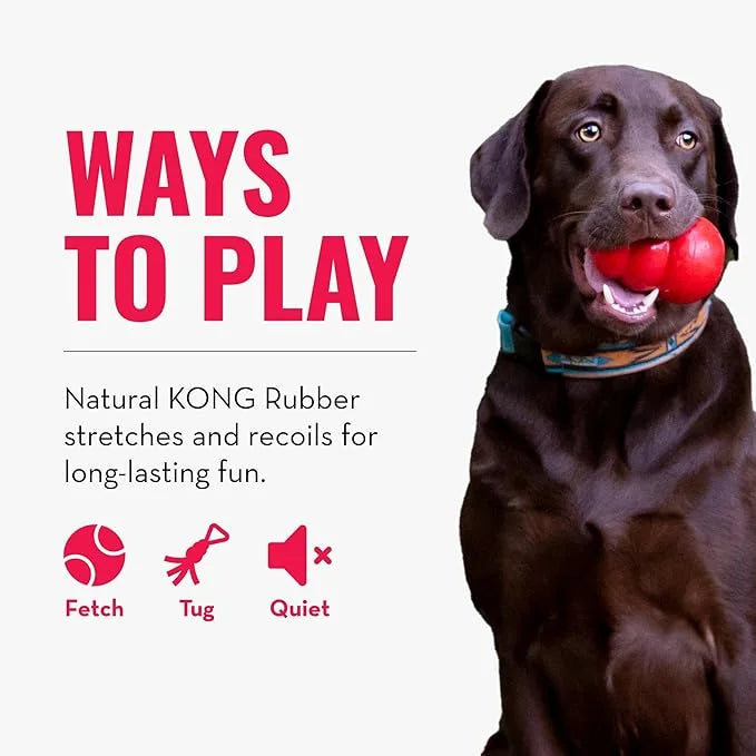 KONG Tug Toy - Dog Supplies for Tug of War - Natural Rubber Dog Toy for Outdoor & Indoor Playtime - for Medium/Large Dogs ...