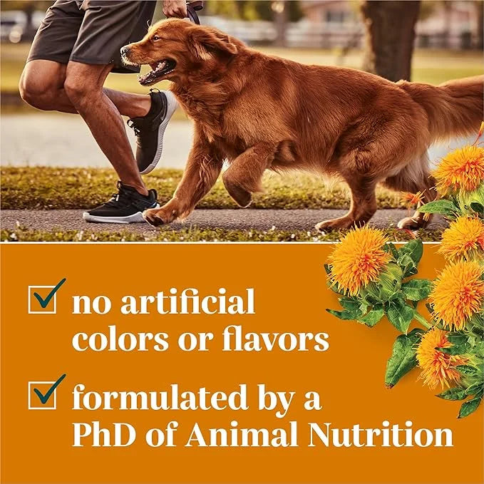 by Purina Skin and Coat Dog Supplements Soft Chews - 10.6 oz. Canister - Product Image