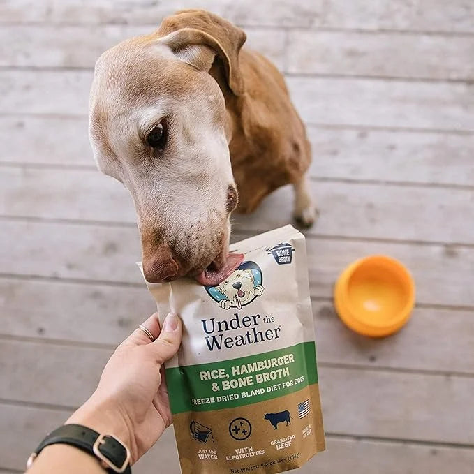 Under the Weather Bland Diet for Dogs | Easy to Digest for Sick Dogs | Always Be Ready | Contains Electrolytes - Natural F...