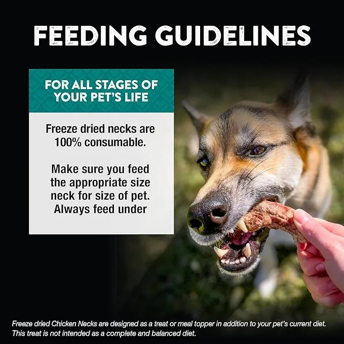 Northwest Naturals Raw Rewards Freeze-Dried Chicken Neck Treats for Dogs and Cats - Whole Neck - Healthy, 1 Ingredient, Hu...