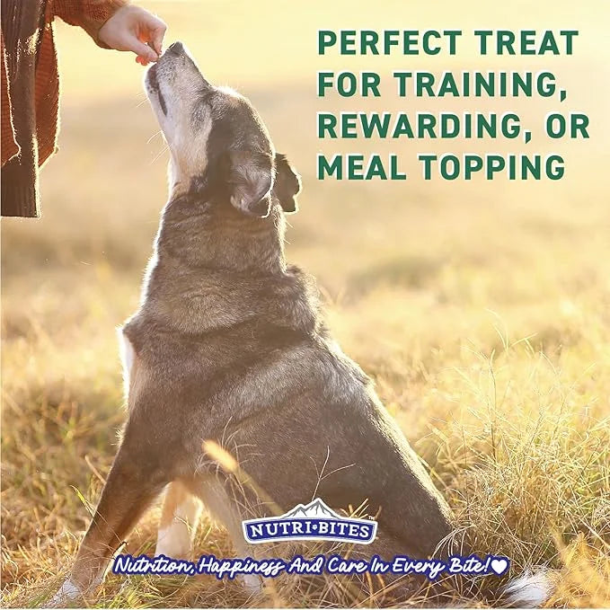 Nutri Bites Freeze Dried Beef Liver Dog & Cat Treats, 9 oz | Healthy Pet Training Treats or Food Topper | All Natural, Sin...