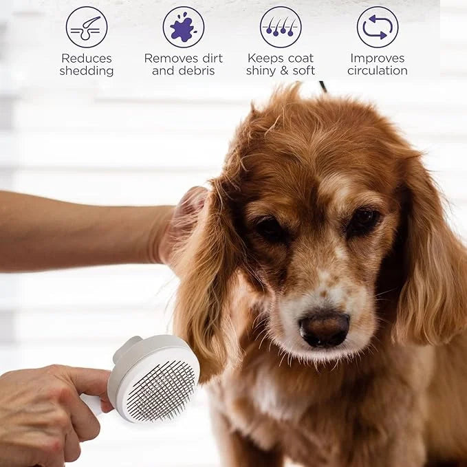 1 Pcs Cat Grooming Brush, Cat Brush Cats Grooming Dematting Comb Self Cleaning Slicker Brushes for Dogs Cats Pet for Shedd...