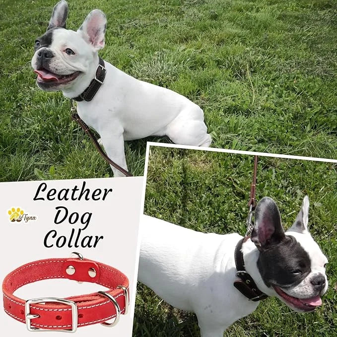 Heavy Duty Red Leather Dog Collar for Small Dogs- Soft and Strong Dog Collar for Puppy or Small Dogs (Small: Fit 10" - 14....