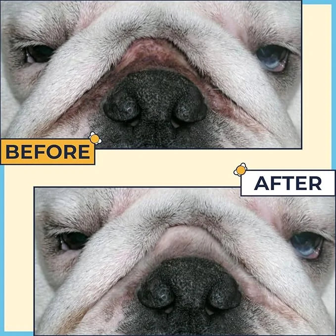 Wrinkle Paste for Bulldogs + Wrinkle Wipes French Bulldog- Wrinkle Cream for Dogs (Frenchie, English Bulldog, Pug)-Cleans ...