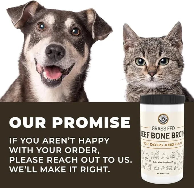 8oz Beef Bone Broth Powder for Dogs and Cats – Human Grade Grass-Fed Bone Broth for Picky Eaters – Supports Joints and Gut...