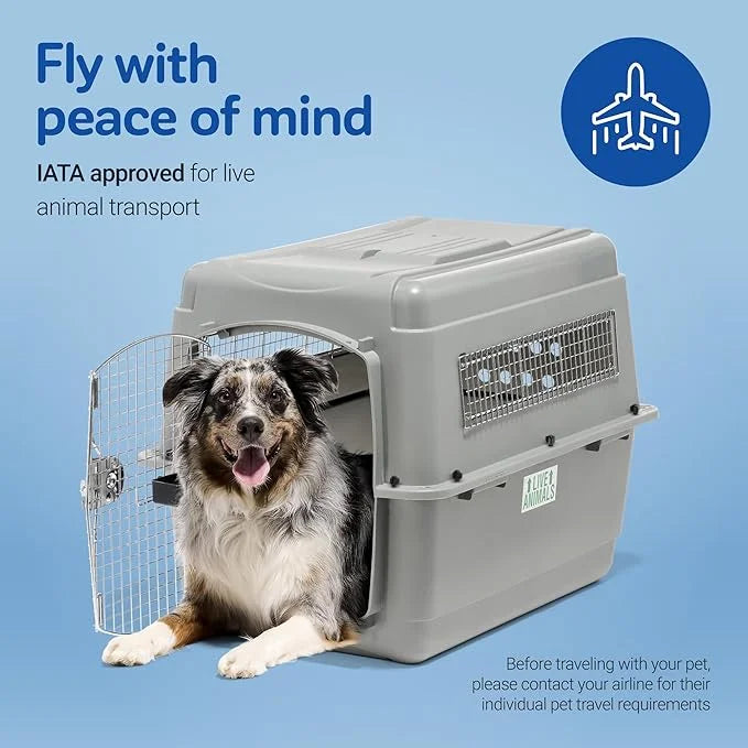 Petmate Sky Kennel - For Air and Travel, Airline Approved Dog Crate for Pets 50-70 lbs, Heavy Duty Dog Kennel, Made in the...