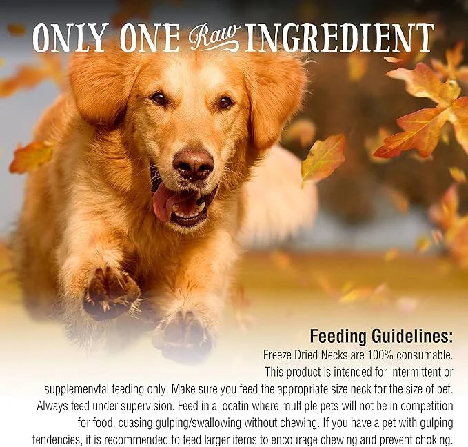 Northwest Naturals Raw Rewards Freeze-Dried Duck Neck Treats for Dogs and Cats - Whole Neck - Healthy, 1 Ingredient, Human...
