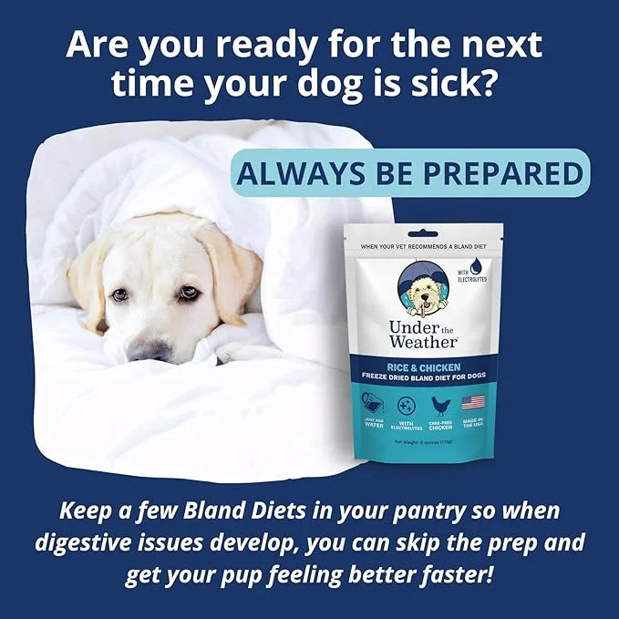 Under the Weather Bland Diet for Dogs | Easy to Digest for Sick Dogs | Always Be Ready | Contains Electrolytes - All Natur...