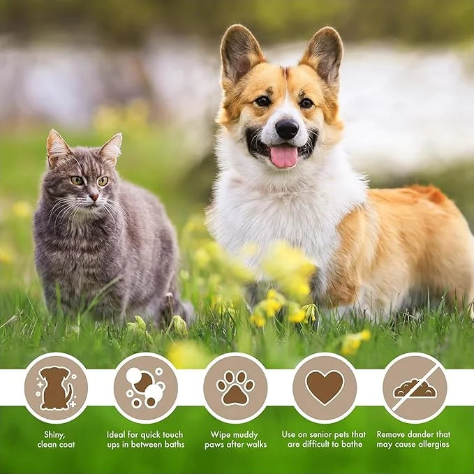 Petkin Mega Valu-Pak Pet Wipes, 500 Total Wipes - Oatmeal Pet Wipes for Dogs and Cats - for Face, Paws, Ears, and Body - S...