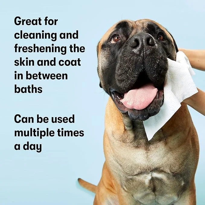 DOG by Dr Lisa - Dog Travel Wipes - Plant-Based - Natural Bathing Wipes for Dogs - Made from 100% Compostable Bamboo - Vet...