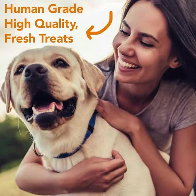 Marcy's Pet Kitchen- All Natural, Crunchy, Pumpkin Biscuit Dog Treats - Homemade - Crunchy Approved- Vegan, Gluten Free, H...