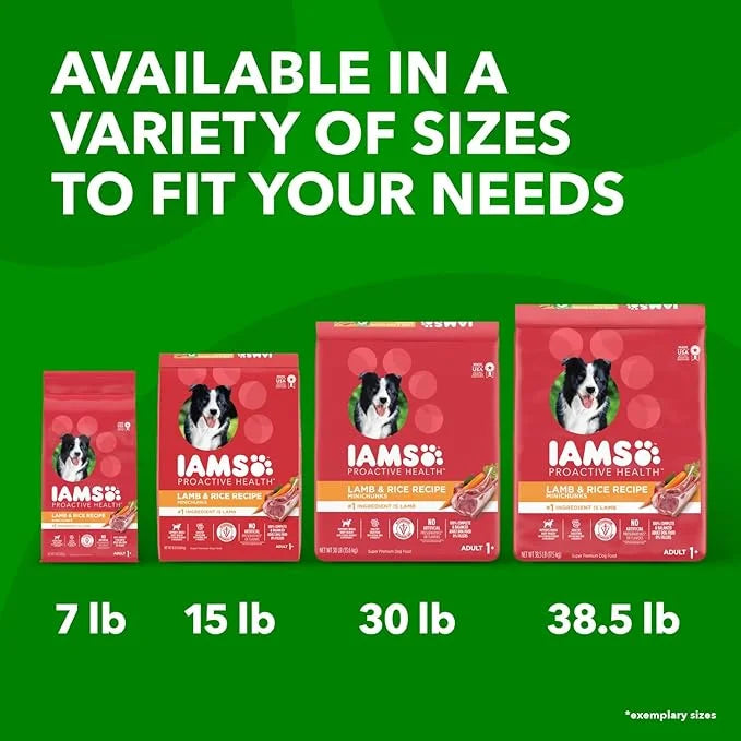 IAMS Minichunks Adult Dry Dog Food Lamb & Rice Recipe Dog Kibble, 30 lb. Bag - Product Image