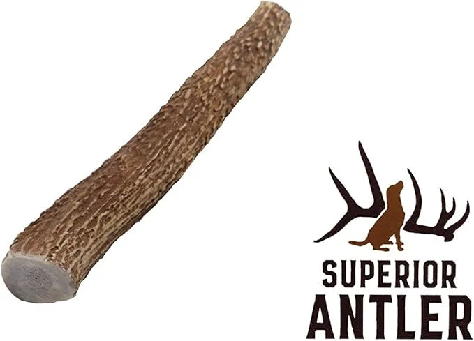 1-Medium Elk Antler –Single Pack. All Natural Premium Grade A. Antler Chew. L=5-8” Naturally shed, Hand-Picked, and Made i...