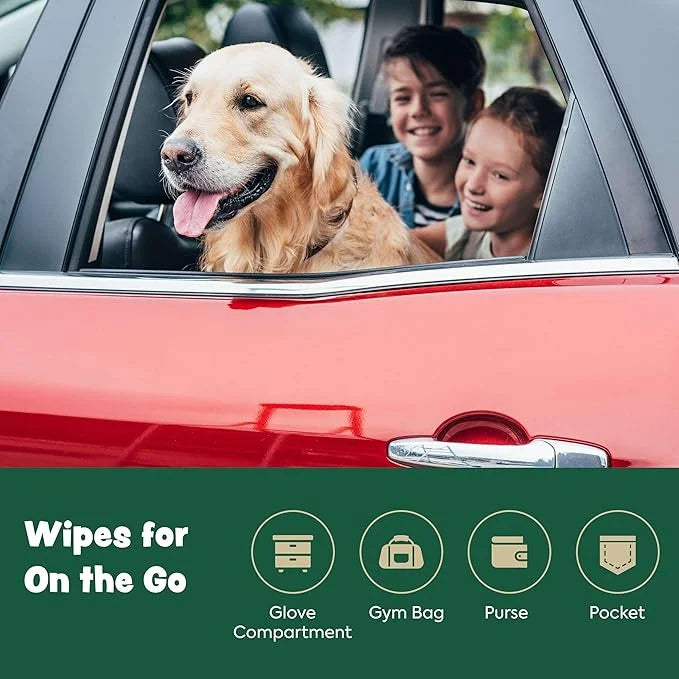 440 Dog Wipes for Cleaning and Deodorizing - 4 Pack of 110 8.5" x 9" Bamboo Pet Wipes - Compostable, Hypoallergenic Puppy ...