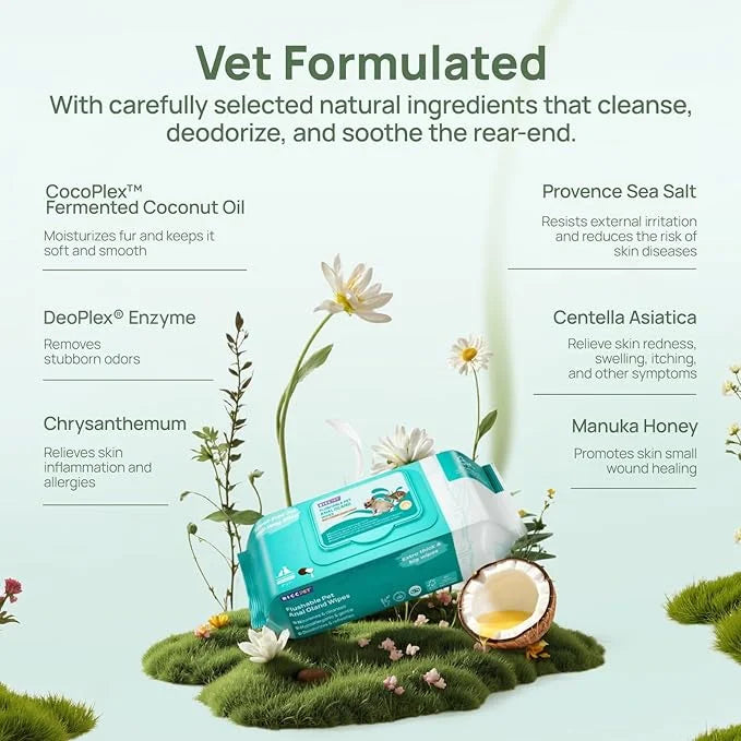 HICC PET Wipes for Dogs & Cats, Cleansing Deodorizing & Soothing Allergy Infections Anal Gland Pets Wipes with Coconut Oil...