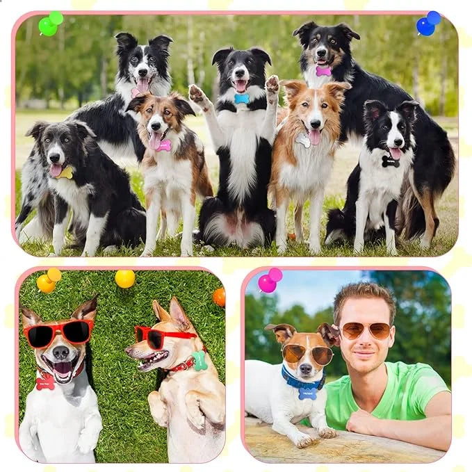 100 Pcs Blank Dog Pet Tags for Engraving 38MM Aluminum Bone Shape Name Tag Colorful Double Sided Dog Cat Phone Number Tag ...