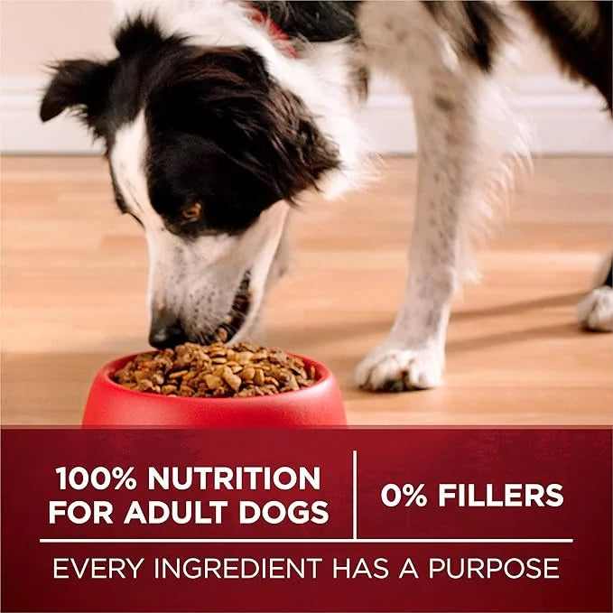 Purina ONE True Instinct With A Blend Of Real Turkey and Venison Dry Dog Food - 36 lb. Bag - Product Image