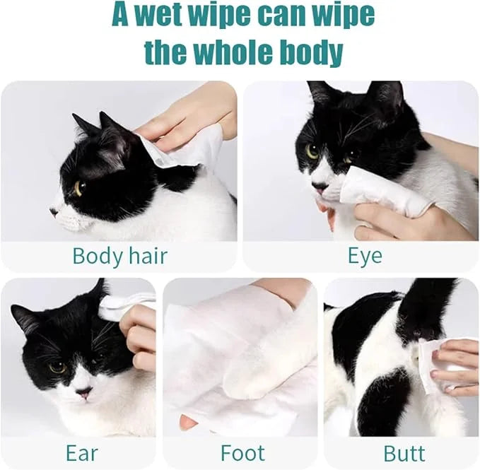 4 Pack Unscented Pet Wipes for Dogs & Cats Travel - 10 Individually Wrapped Waterless Cleaning Wipes per Box, Gentle Puppy...