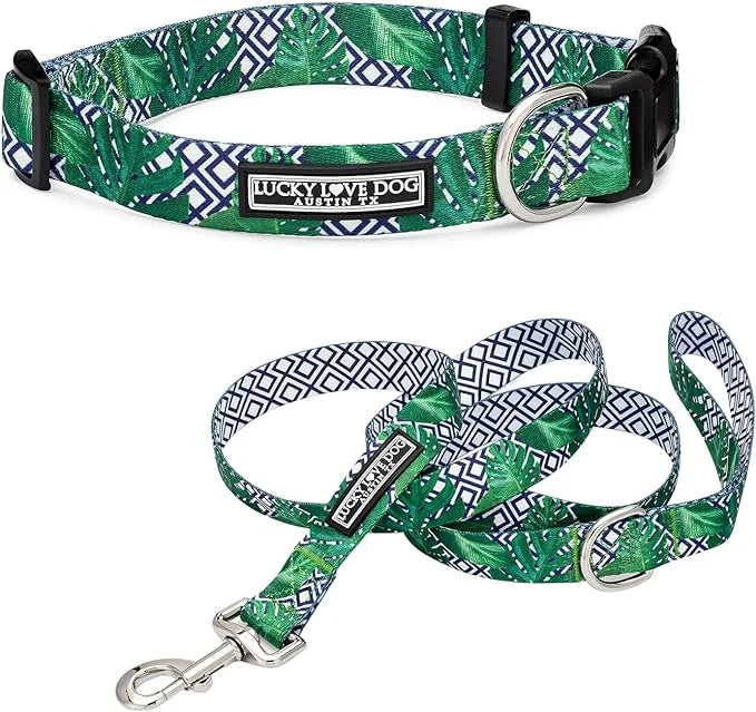 Lucky Love Dog Collar and Leash Set, Beautiful & Vivid Patterns, Easy On & Off Clasp Accessory (Blue Laguna, XS Combo) - P...