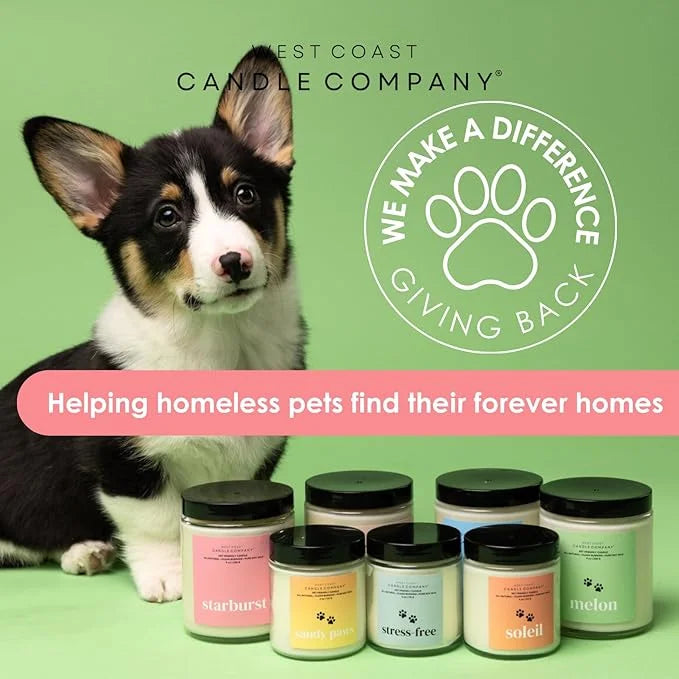 Pet Friendly Wax Melts | Pet Safe Wax Melts | All Natural Dog Safe Wax Melts | Non-Toxic Wax Melts | Pet Odor Eliminator |...
