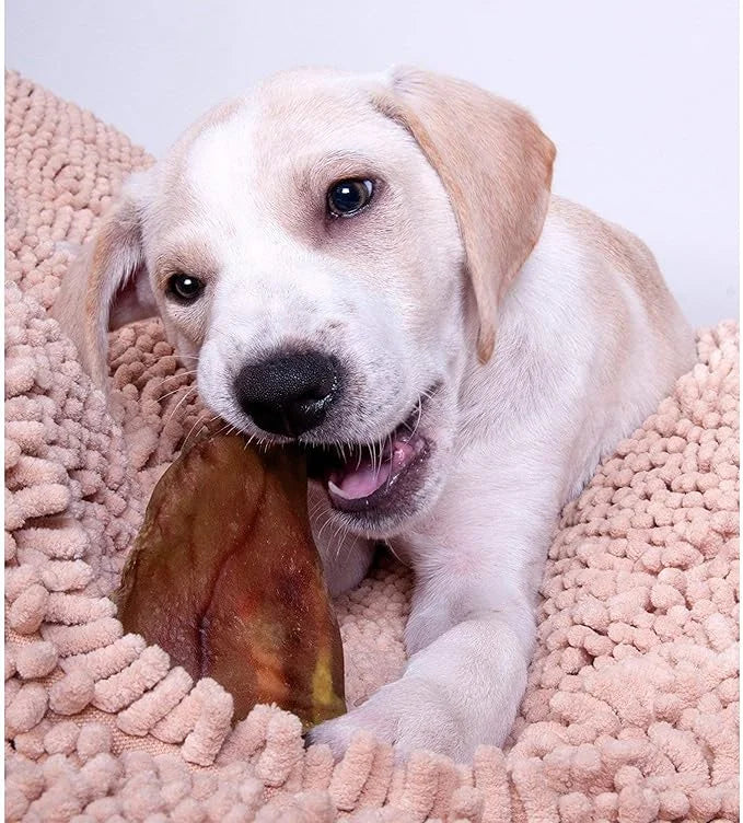 Healthy Pig Ear Chews for Dogs โ Brazilian Made High Protein Pigโs Ears Pet Treats โ Thick Cut, Oven Baked & Slow Cooked D...