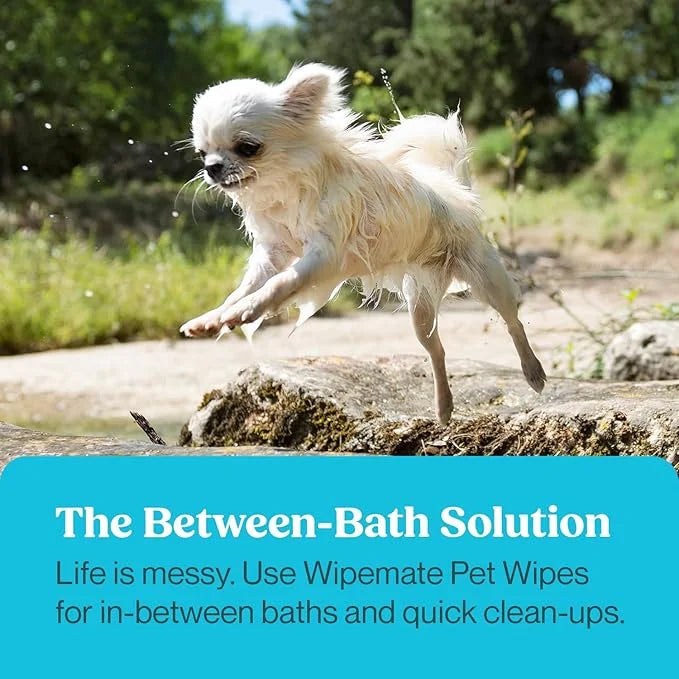 Bulk 4-Pack Travel Dog & Cat Pet Wipes for Small/Medium Pets Cleans Pet Paws Ears Fur Butt & Anal Gland No-Rinse Solution ...