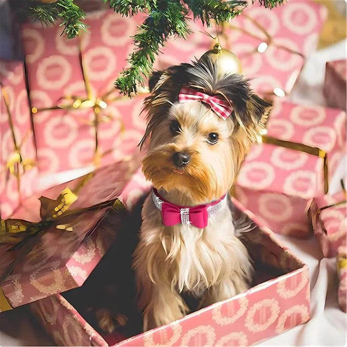 Bling Small Dog Collars for Female Dogs, Christmas Rhinestone Dog Collar with Bow tie, Crystal Jeweled Girl's Cat Collars ...