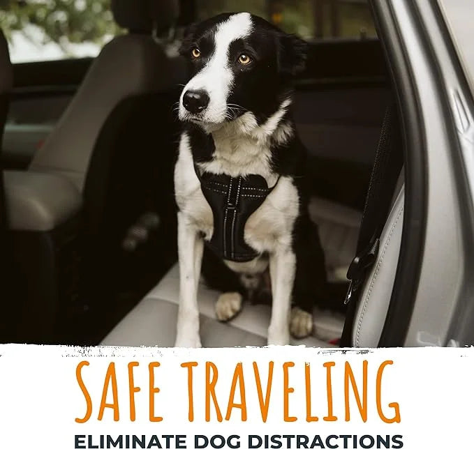 Mighty Paw Dog Car Safety Belt - Dog Seatbelt Ensures Pet Protection While Driving - Seatbelt for Dogs for Car - Dog Vehic...