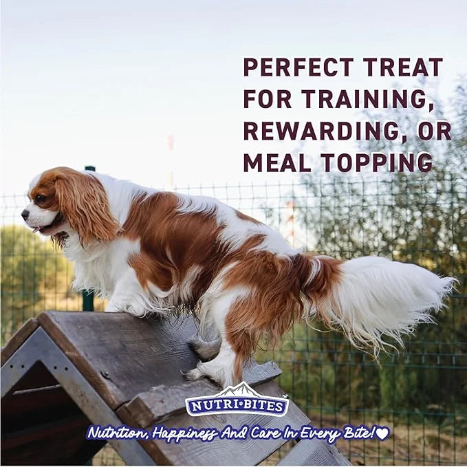 NutriBites Freeze Dried Beef Recipe Dog & Cat Treats, 4oz | Healthy Pet Training Treats or Food Topper | All Natural, Sing...