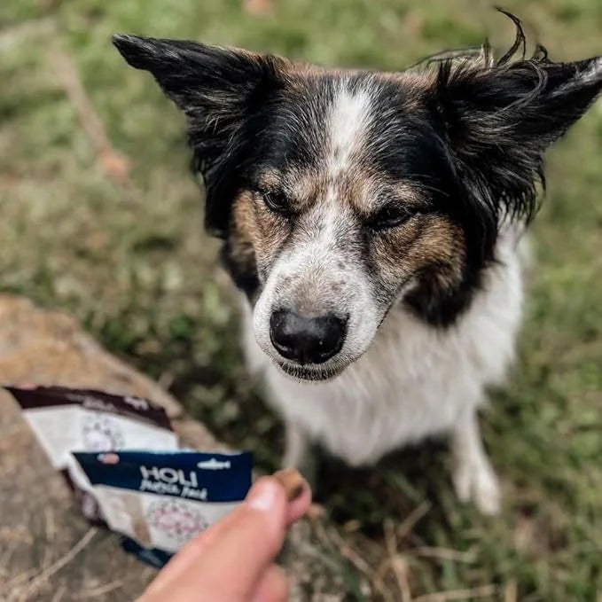 HOLI Elk & Venison Freeze Dried Dog Treats - All Natural and Wild Caught | Vitamin and Mineral Fortified | Made in USA - H...