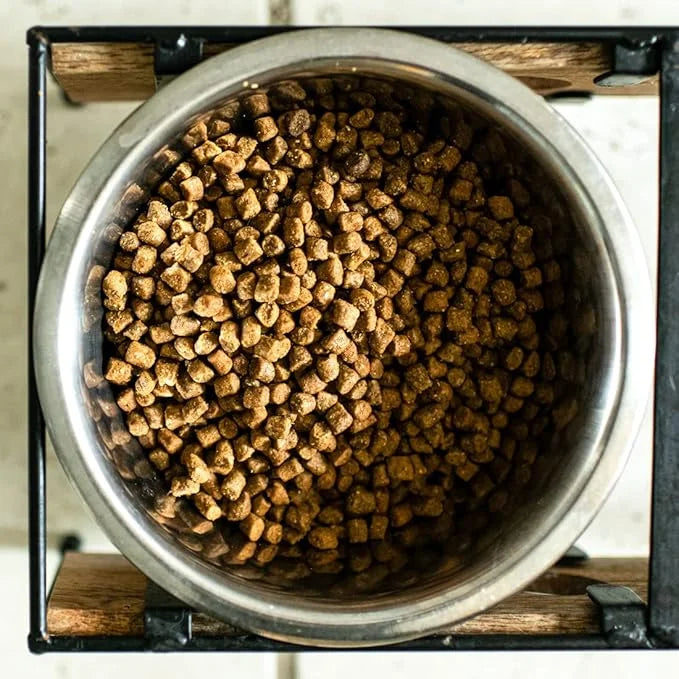 Wild Alaskan Salmon Grain-Free Dog Food | No Chicken or Other Animal by-Products | Rich in Omega 3 & 6 Fatty Acids | Susta...