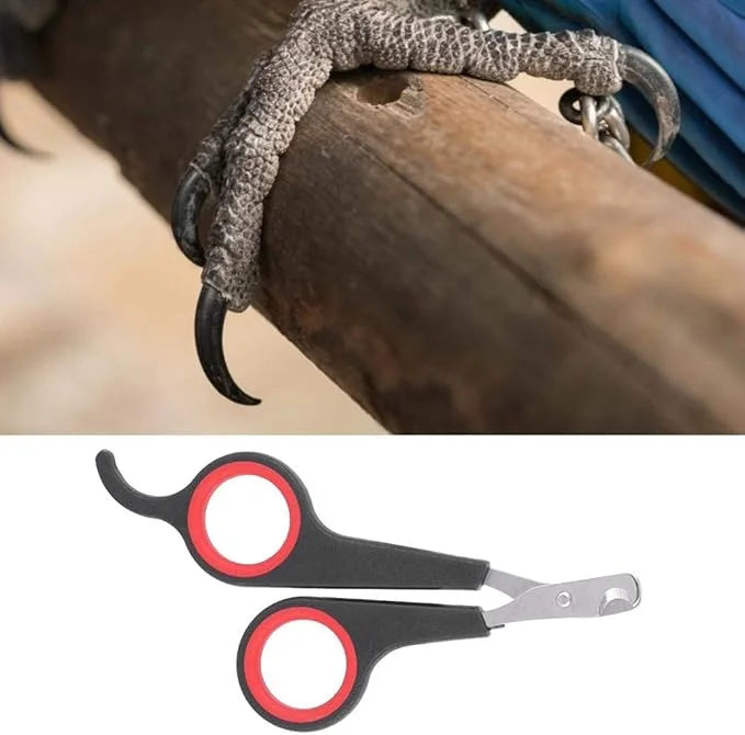 Bird Nail Clipper Grooming Tool Nail Scissors Clipper Pet Bird Parrot Small Animals Accessory for Small Parrot Birds - Pro...