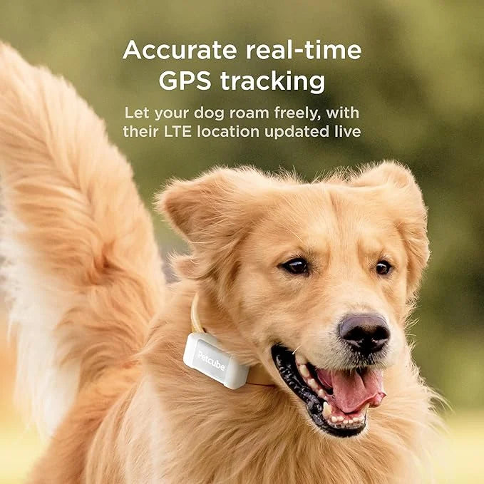 Petcube GPS Tracker for Dogs | Pet GPS Location Tracker with Escape Alerts and Virtual Fences, Activity and Wellness Monit...