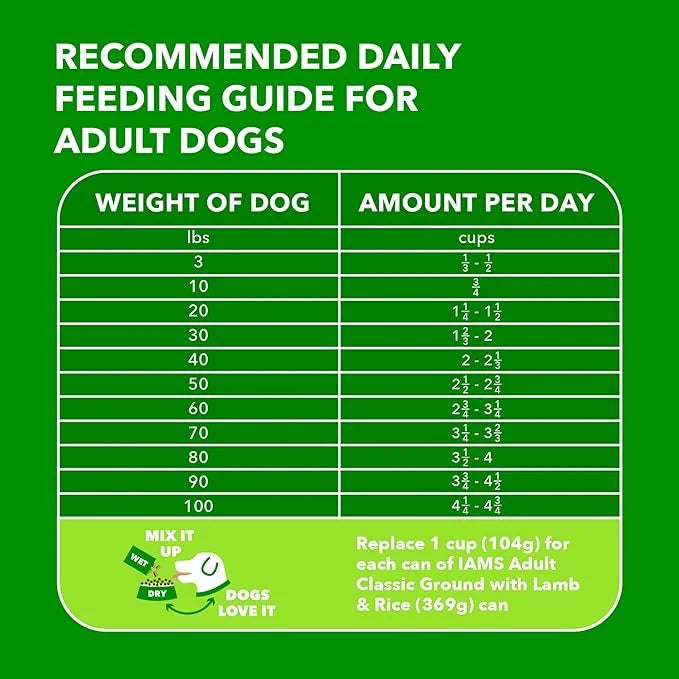 IAMS Minichunks Adult Dry Dog Food Lamb & Rice Recipe Dog Kibble, 15 lb. Bag - Product Image