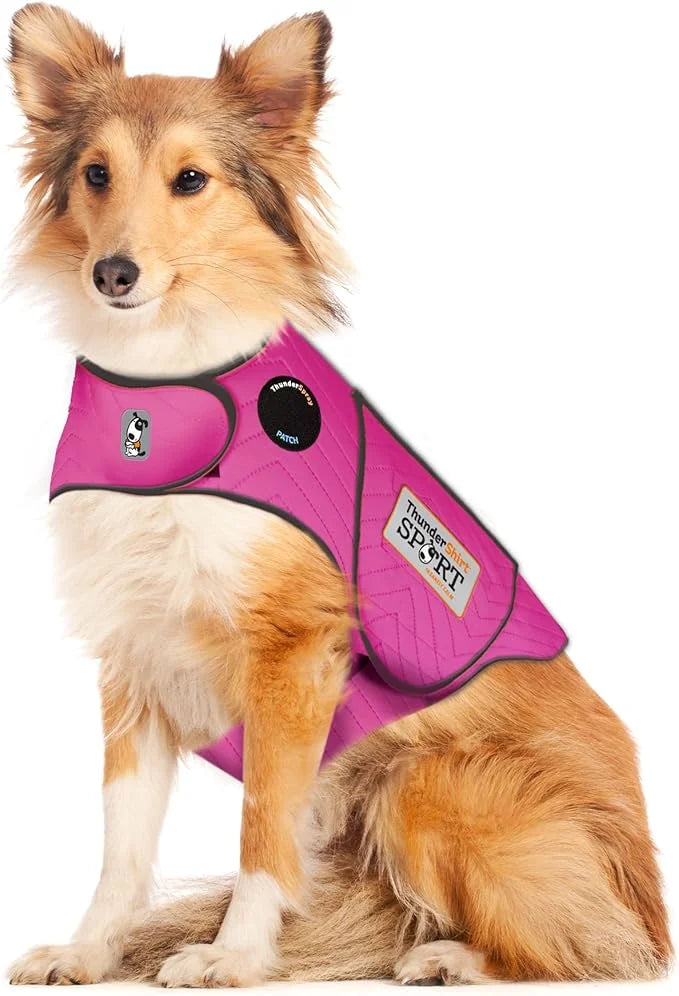 ThunderShirt for Dogs, Large, Fuchsia Sport - Dog Anxiety Relief Calming Vest - Product Image