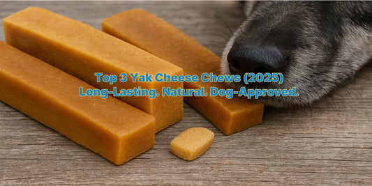 Close-up of three yak cheese dog chews on wood with a dog's nose nearby – durable and natural treats for dogs.