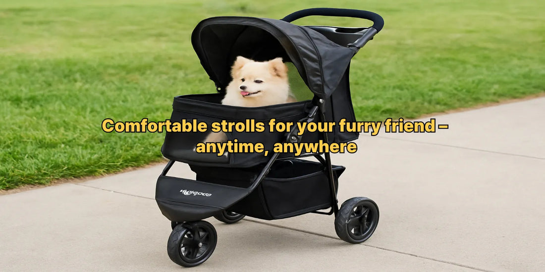 Fluffy cream-colored dog sitting comfortably inside a black pet stroller on a sunny sidewalk with green grass in the background.