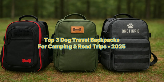 Three stylish dog travel backpacks for camping and road trips displayed on grass with a forest background, ideal for pet-friendly adventures.