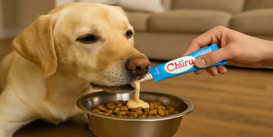 A golden Labrador eating kibble topped with creamy INABA Churu meal topper being squeezed from a tube into a stainless steel dog bowl.