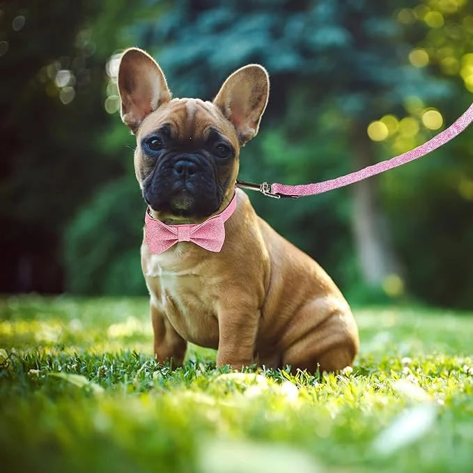 Bling Bow Tie Dog Collar and Leash Set, Cute Pink Girl Dog Collar with 5ft Leash for Small Medium Dogs Daily Walking or Ho...