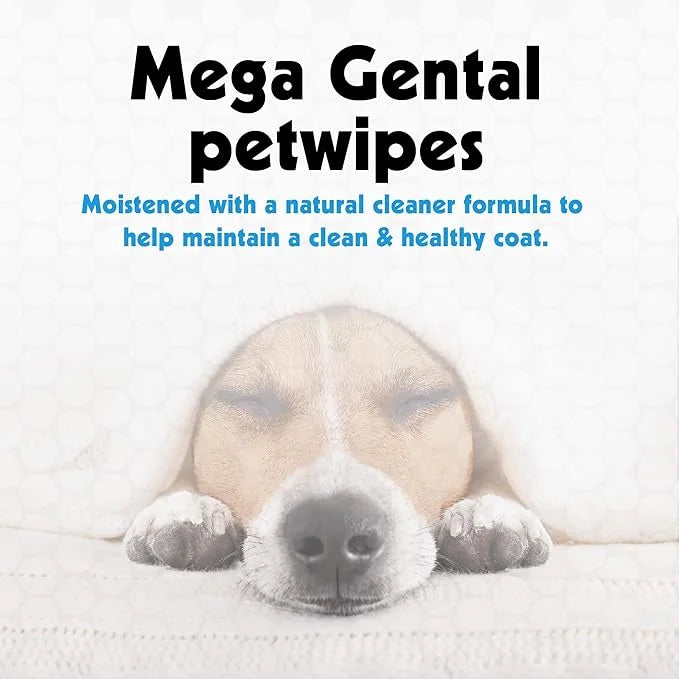 Petkin Mega PetWipes, 200 Wipes - Pet Wipes for Dogs and Cats - For Face, Paws, Ears, Body and Eye Area - Super Convenient...