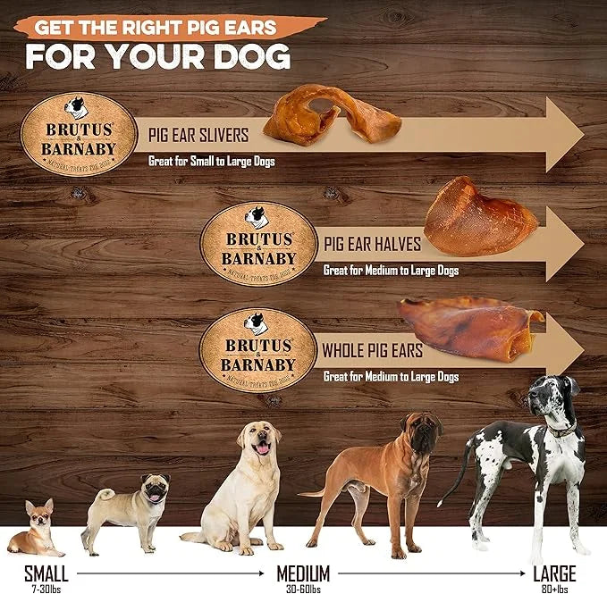 100% Natural Whole Pig Ear Dog Treat - 12 Pack Our Healthy Pig Ears Are Easy To Digest, Chemical & Hormone Free Thick Cut ...