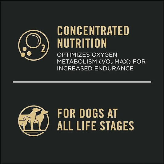 Purina Pro Plan High Protein Dog Food, Sport 30/20 Salmon and Rice Dog Food Dry Formula - 6 lb. Bag - Product Image