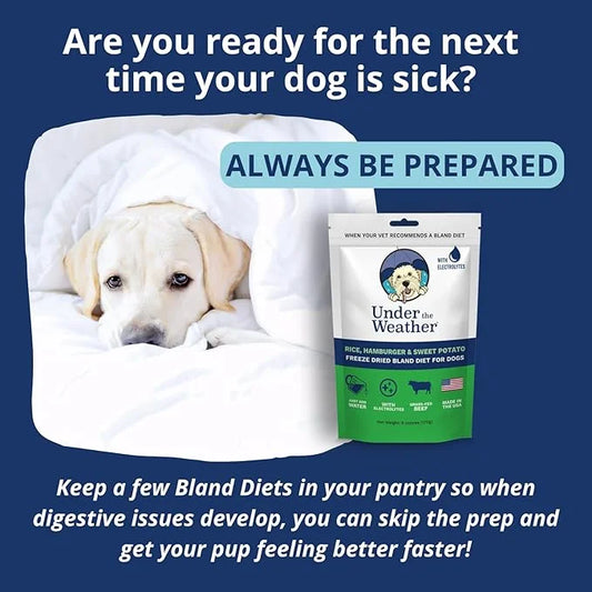 Under the Weather Bland Diet for Dogs | Easy to Digest for Sick Dogs |Always Be Ready| Contains Electrolytes - Natural Fre...