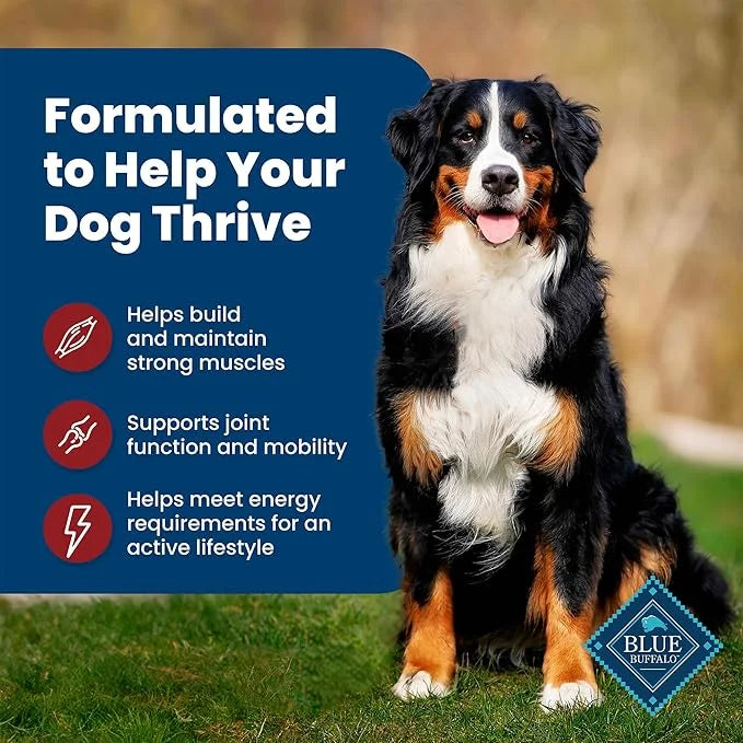 Blue Buffalo Life Protection Formula Adult Dry Dog Food, Helps Build and Maintain Strong Muscles, Made with Natural Ingred...