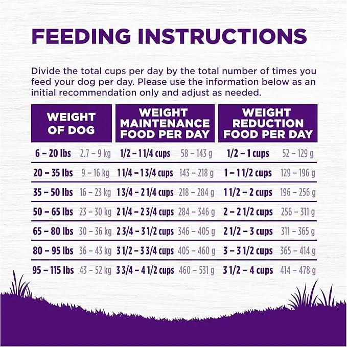 Wellness Complete Health Senstive Skin & Stomach Natural Adult Dry Dog Food, Salmon and Rice Recipe, 24 Pound Bag - Produc...