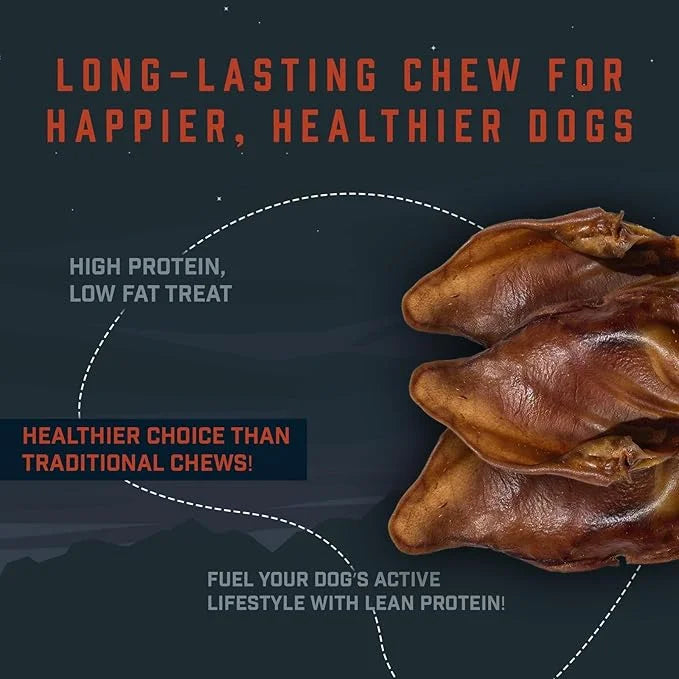 Wild Wolf USA Pig Ears (5 Pack) 100% Natural Dog Chew Treat - Sourced and Baked in The USA - Healthy, High Protein Snack -...
