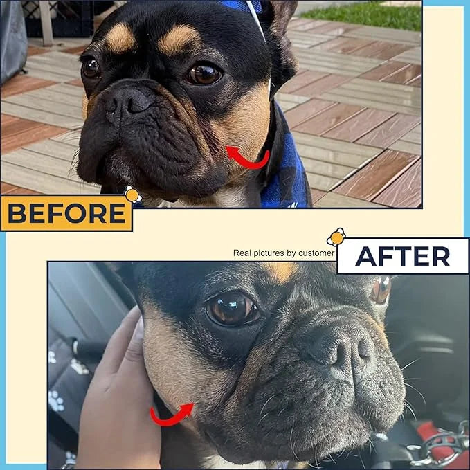 Wrinkle Paste for Bulldogs + Wrinkle Wipes French Bulldog- Wrinkle Cream for Dogs (Frenchie, English Bulldog, Pug)-Cleans ...