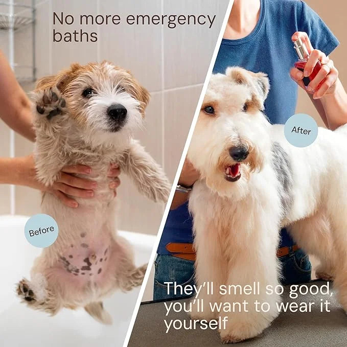 Sunny & Honey 4oz Dog Perfume Spray Long Lasting - Deodorizing, Detangling & Hydrating - Dog Cologne - pH Balanced - Spray...